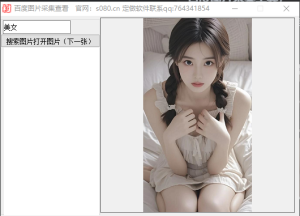 百度图片采集工具，一键采集图片_引流协议软件_谷歌引流搜索外推营销引流软件_Google留痕外推软件_引流协议软件|村长黑科技官网